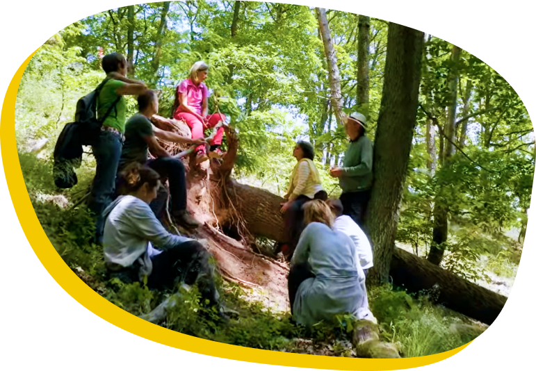 Waldbaden Gruppe im Wald bespricht Übung